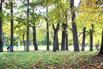 osenniy_park_01