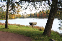 osenniy_park_05