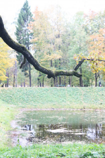 osenniy_park_15