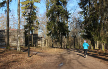 probezhka_v_parke_01
