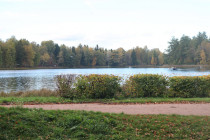gatchina_osen_02