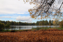 gatchina_osen_03