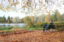 gatchina_osen_04