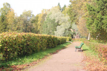gatchina_osen_06