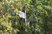 gatchina_osen_09