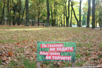 gatchina_osen_10