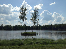 progulka_07