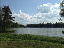 progulka_08