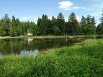 progulka_10