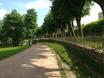 progulka_15