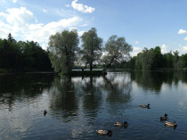 progulka_20