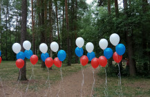 uborka_v_vyrice_03