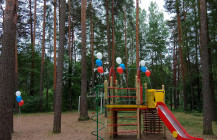 uborka_v_vyrice_04