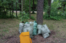 uborka_v_vyrice_07