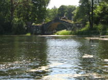 gatchinskiy_park_03