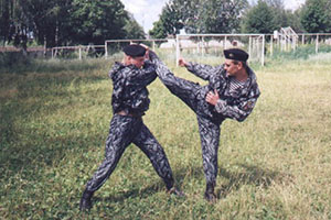 Армейский рукопашный бой