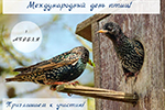 День птиц