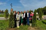 Высадка деревьев в районе Аэродром