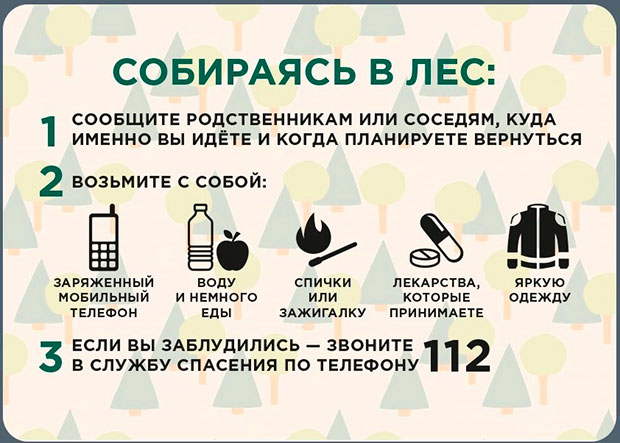 Добрый лес стенд