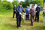 Экологический конкурс в Ленобласти