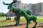 Скульптуры лосей на Рощинской