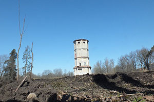 Повреждения в Приоратском парке