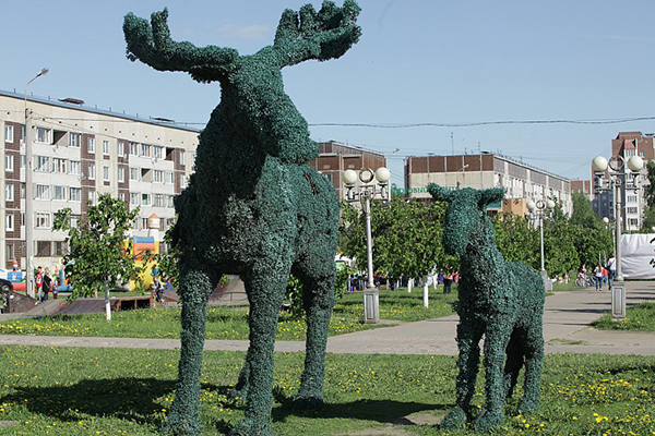 Лоси Гатчины