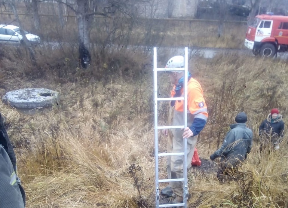 Спасение собаки в Гатчине
