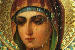 Умягчение злых сердец в гатчине