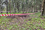 Захоронение в Гатчине