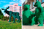 Лоси и медведи