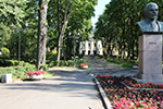 Озеленение в Гатчине