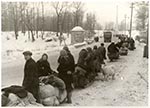 Выставка По обе стороны окопов