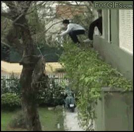 Домашние трюки Прыжок из окна на дерево